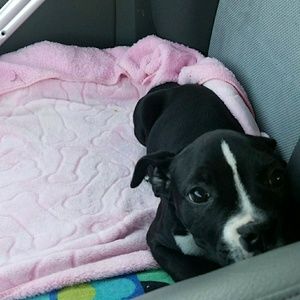 Meet your Posher, Rita